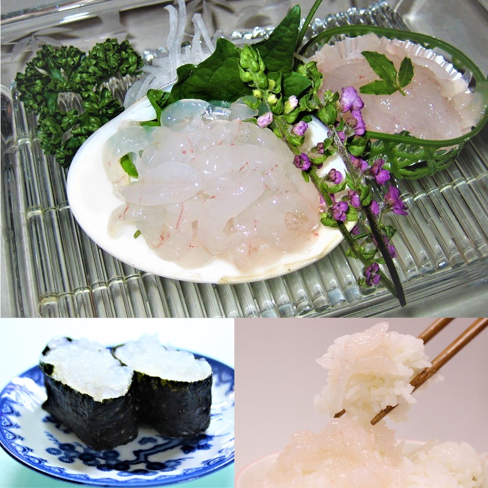 お魚 白えびお刺身 業務用容量0g 自家製お刺身 とやまーと 北日本新聞サービスセンターのオンライン商店街 お魚 白えびお刺身 業務用容量0g 自家製お刺身 とやまーと 北日本新聞サービスセンターのオンライン商店街