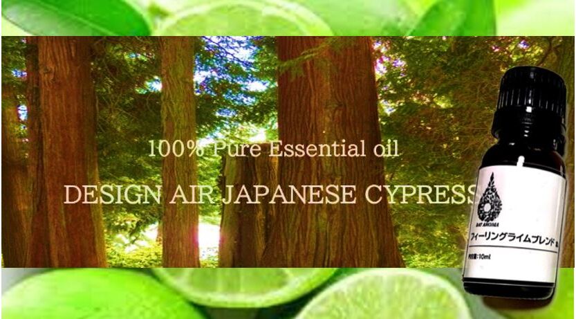 雑貨 生活雑貨 アロマオイル フィーリングライムアロマブレンド 富山県産ヒノキ入り 10ml とやまーと 北日本新聞サービスセンターのオンライン商店街